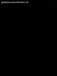 Winterschuhe. Gerne verschenken ich die beiden Winterschuhe, Grösse 39