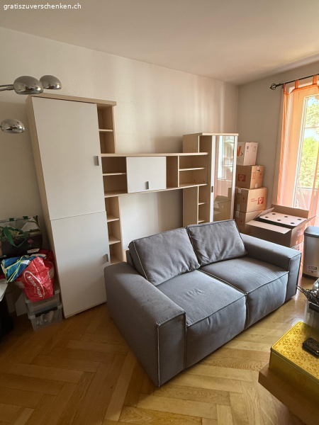 Wohnwand und Sofa gratis
