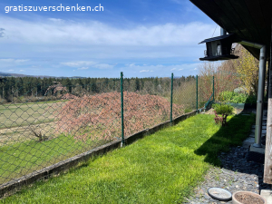 Zaun grün mit  Pfosten. Zaun ist 1 Meter hoch und 25 m2 lang. Hat alle paar Meter ein Pfosten, dass in die Erde gesteckt wird. Es war als Sperre für die Katzen angedacht aber sie buddeln darunter und daher bringt es nichts leider. 
Es ist zusätzlich noch 1 Stück ca 3 m im Karton.