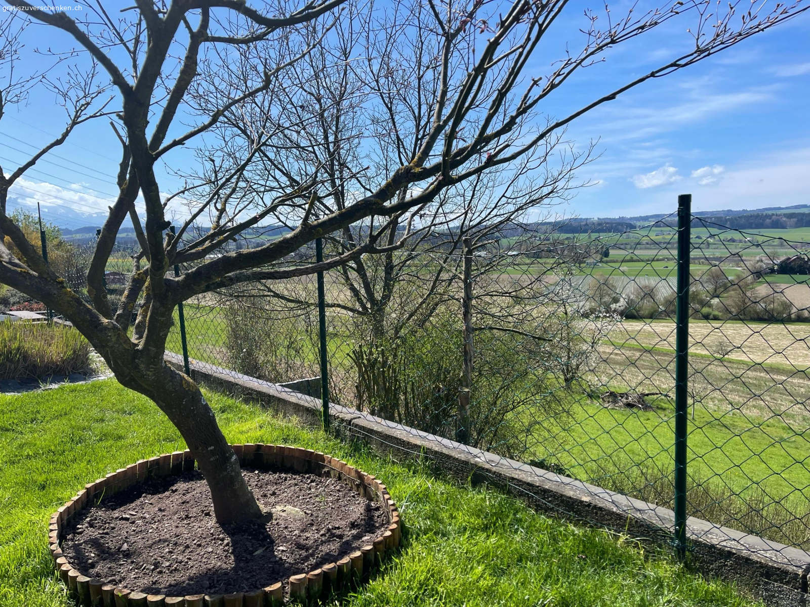 Zaun grün mit  Pfosten. Zaun ist 1 Meter hoch und 25 m2 lang. Hat alle paar Meter ein Pfosten, dass in die Erde gesteckt wird. Es war als Sperre für die Katzen angedacht aber sie buddeln darunter und daher bringt es nichts leider. 
Es ist zusätzlich noch 1 Stück ca 3 m im Karton.