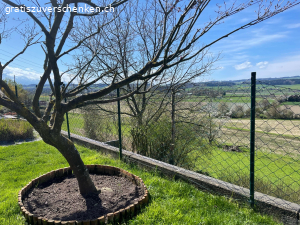 Zaun grün mit  Pfosten. Zaun ist 1 Meter hoch und 25 m2 lang. Hat alle paar Meter ein Pfosten, dass in die Erde gesteckt wird. Es war als Sperre für die Katzen angedacht aber sie buddeln darunter und daher bringt es nichts leider. 
Es ist zusätzlich noch 1 Stück ca 3 m im Karton.